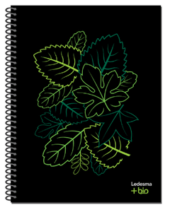 Cuaderno Ledesma +bio 16x21 cm 120 hjs (100% sustentable) - comprar online
