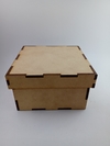 Caja con tapa 10 x 10