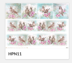 HPN11