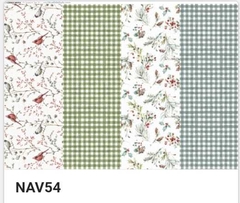 NAV54