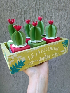 Caja cactus 5 x 5 x 5 cm - tienda online