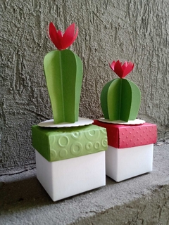 Caja cactus 5 x 5 x 5 cm - Pamela Flavia