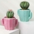 MACETA CACTUS VERDE/ROSA 950-7448