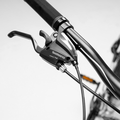 Bicicleta PRK Pegasus Rodado 29 - Thuway Equipment, Bike & Adventure