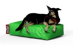 Classic - Dog Mini