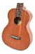 Ukelele Ibanez Ukc10 - tienda online