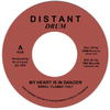 7" Errol 'Flabba' Holt - My Heart Is In Danger/Danger Zone [NM]