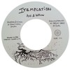 7" Ras Ico & the Shades - Like The Raindrops/Itemplation [NM] - comprar online