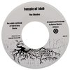 7" Ras Ico & the Shades - Search Within Yourself/Temple Of I Dub [NM] - comprar online