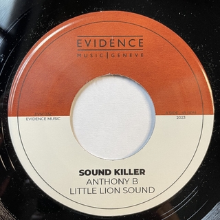 7" Anthony B/Eesah - Sound Killer/Hold A Vibe [NM] - comprar online