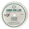 LP Ras Michael & the Sons of Negus - Kibir Am Lak, Glory to God [VG+] na internet
