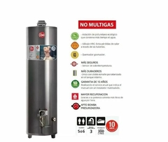 Termotanque Rheem a Gas Natural de Pie 160 L - APG160NRH07