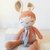 Conejo Bunny Estrella en internet
