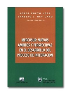 Mercosur: nuevos ámbitos y perspectivas en el desarrollo del proceso de integración