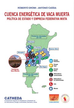DESARROLLO ENERGÉTICO DE VACA MUERTA.`Polítixa de Estado y Empresas Federativa Mixta
