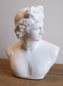 BUSTO HOMBRE ROMANO - comprar online