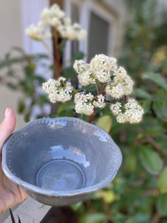 Bowls colors - Chez Deco