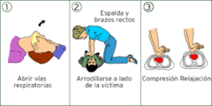 CURSO DE REANIMACION CARDIO PULMONAR Y USO DE DESFIBRILADOR EXTERNO AUTOMATICO en internet