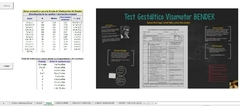 Corrector Test de Bender -Versión Excel Profesional PRO (2024) - PsicoTest