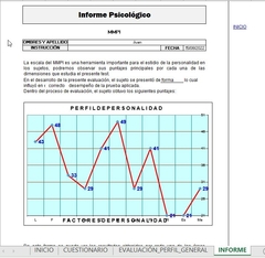 Test Minimult - Evaluacion de la personalidad - Version Profesional- en internet