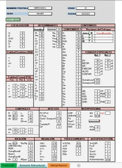 TEST DE ZULLIGER REPORTE PRO en internet