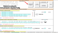 CORRECTOR AUTOMATIZADO DEL TEST DE PERCEPCION VISUAL FROSTIG DTVP 2 -dificultades de aprendizaje- - comprar online