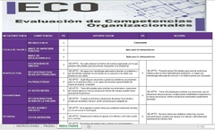 Corrector para la Evaluación de Competencias Organizacionales (ECO) - PsicoTest