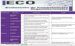 Corrector para la Evaluación de Competencias Organizacionales (ECO) - tienda online