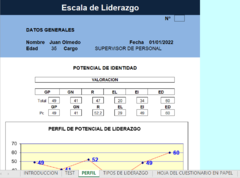 Escalas de Liderazgo ELO -Diagnostico o selección organizacional- en internet