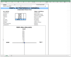 CORRECTOR TEST LIFO -Estilos de Liderazgo– Versión Básica- - PsicoTest