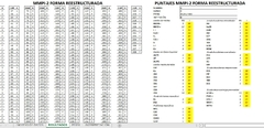 Test MMPI 2 - RF (Reestructurado) - Excel Automatizado - comprar online