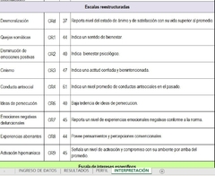 Test MMPI 2 - RF (Reestructurado) - Excel Automatizado en internet