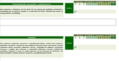 CORRECTOR DE: Honestidad - Conductas delictivas - Psicopatologías - Potencial Riesgo- - tienda online