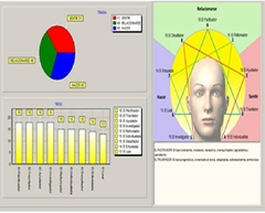 Software del Test Eneagrama y Colores - tienda online