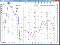 Test MMPI A - Profesional - Toma directa en internet