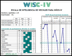 Corrector WISC IV Escala de Inteligencia de Wechsler para Niños -Reporte Plus- - PsicoTest