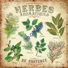 Ilustración de hierbas aromáticas de Provenza, incluyendo anís, menta, laurel, romero, perejil, albahaca y tomillo.