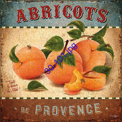 Ilustración vintage de albaricoques de Provenza con hojas verdes y un trozo de fruta.