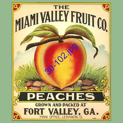 Cartel vintage de la Miami Valley Fruit Co. con una ilustración de un durazno y el texto "PEACHES GROWN AND PACKED AT FORT VALLEY, GA."