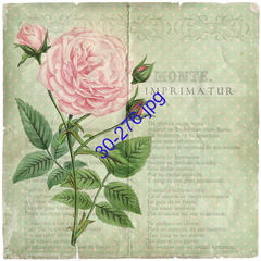 Lámina para decoupage con una rosa rosa y un capullo sobre un fondo verde con puntos.