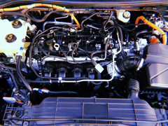 Ford Kuga SE Sport Hybrid 2.5