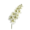 ORQUIDEA NATURAL/ROSA 102CM