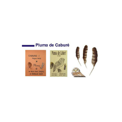 PLUMA DE CABURÉ