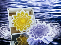 Vela Flotante Gigante Irupe en Caja 4 x 20 cm - comprar online