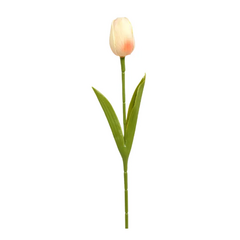 TULIPANES - comprar online