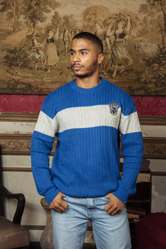 Harry Potter Quidditch Ravenclaw Sweater