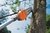 Podadora de altura KA85 HT - comprar online