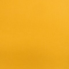 Sólido amarillo maìz