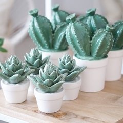 Macetas Cacti