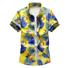 Camisa floral mangas curtas - loja online